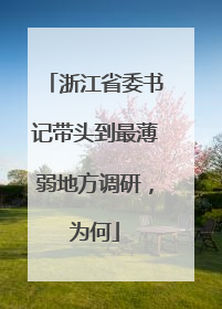 浙江省委书记带头到最薄弱地方调研，为何