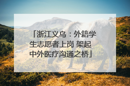 浙江义乌：外籍学生志愿者上岗 架起中外医疗沟通之桥