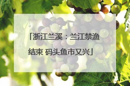 浙江兰溪：兰江禁渔结束 码头鱼市又兴