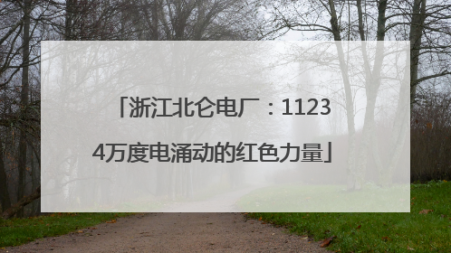 浙江北仑电厂：11234万度电涌动的红色力量