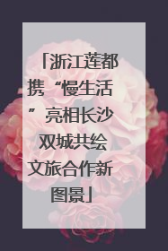 浙江莲都携“慢生活”亮相长沙 双城共绘文旅合作新图景