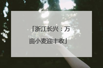 浙江长兴：万亩小麦迎丰收