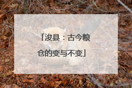 浚县：古今粮仓的变与不变