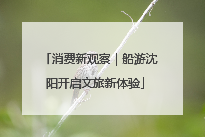 消费新观察｜船游沈阳开启文旅新体验