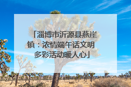 淄博市沂源县燕崖镇：浓情端午话文明 多彩活动暖人心