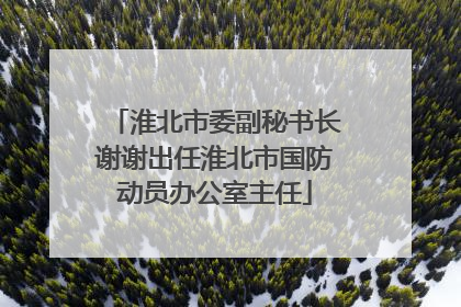 淮北市委副秘书长谢谢出任淮北市国防动员办公室主任