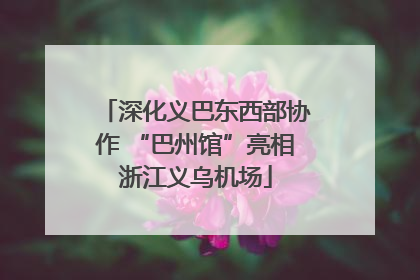 深化义巴东西部协作 “巴州馆”亮相浙江义乌机场