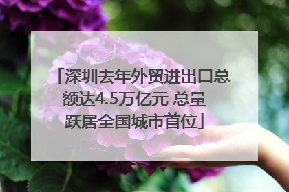 深圳去年外贸进出口总额达4.5万亿元 总量跃居全国城市首位