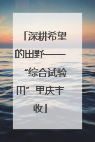 深耕希望的田野——“综合试验田”里庆丰收