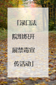 渌口法院组织开展禁毒宣传活动