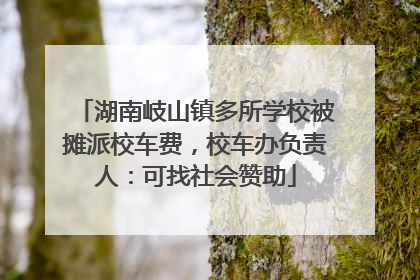 湖南岐山镇多所学校被摊派校车费，校车办负责人：可找社会赞助