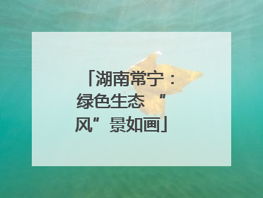 湖南常宁：绿色生态 “风”景如画