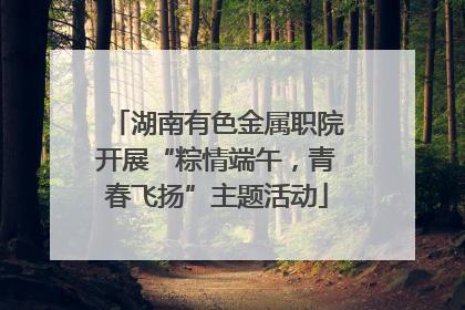 湖南有色金属职院开展“粽情端午，青春飞扬”主题活动