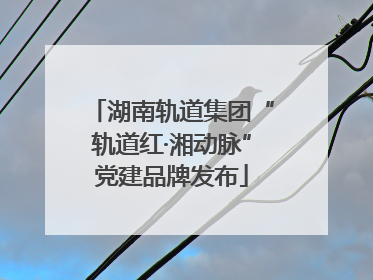 湖南轨道集团“轨道红·湘动脉”党建品牌发布