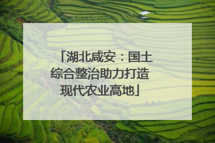 湖北咸安：国土综合整治助力打造现代农业高地