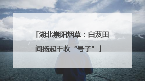 湖北崇阳烟草：白芨田间扬起丰收“号子”