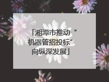 湘潭市推动“机器管招投标”向纵深发展