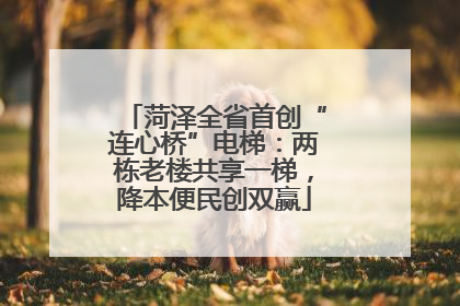 菏泽全省首创“连心桥”电梯：两栋老楼共享一梯，降本便民创双赢