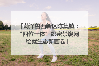 菏泽鲁西新区陈集镇：“四位一体”织密禁烧网 绘就生态新画卷