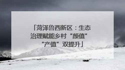 菏泽鲁西新区：生态治理赋能乡村“颜值”“产值”双提升