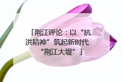荆江评论：以“抗洪精神”筑起新时代“荆江大堤”