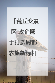 荒丘变景区 政企携手打造殷都农旅新标杆