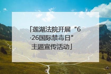 莲湖法院开展“6·26国际禁毒日”主题宣传活动