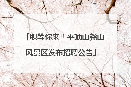 职等你来！平顶山尧山风景区发布招聘公告
