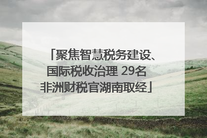 聚焦智慧税务建设、国际税收治理 29名非洲财税官湖南取经