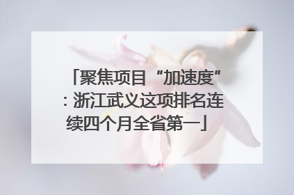 聚焦项目“加速度”：浙江武义这项排名连续四个月全省第一