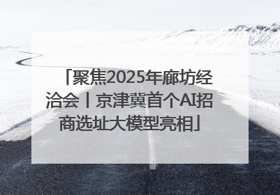 聚焦2025年廊坊经洽会丨京津冀首个AI招商选址大模型亮相