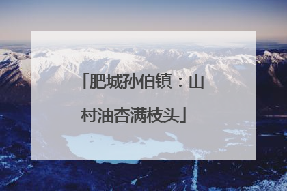 肥城孙伯镇：山村油杏满枝头