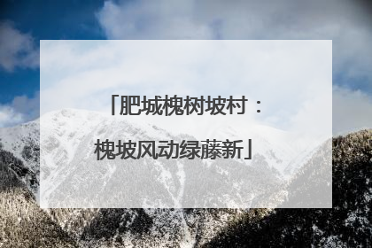 肥城槐树坡村：槐坡风动绿藤新