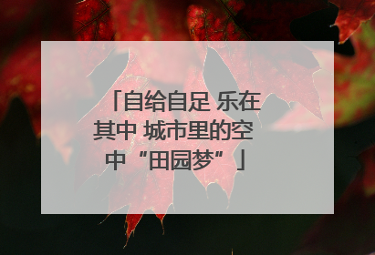 自给自足 乐在其中 城市里的空中“田园梦”