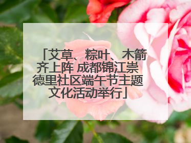 艾草、粽叶、木箭齐上阵 成都锦江崇德里社区端午节主题文化活动举行