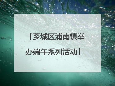 芗城区浦南镇举办端午系列活动