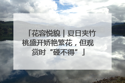 花容悦貌｜夏日夹竹桃盛开娇艳繁花，但观赏时“碰不得”