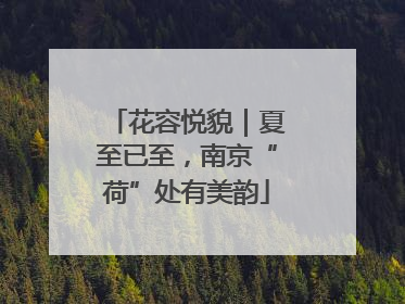 花容悦貌｜夏至已至，南京“荷”处有美韵