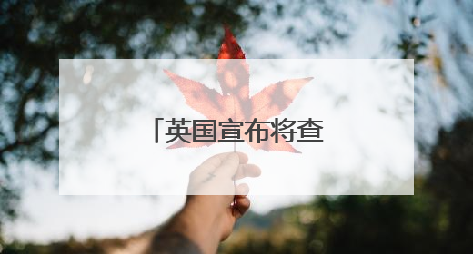英国宣布将查戈斯群岛主权移交给毛里求斯