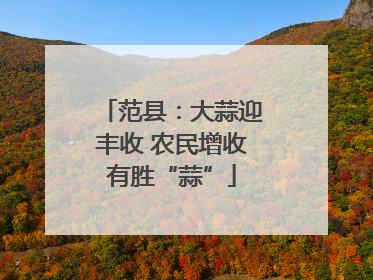 范县：大蒜迎丰收 农民增收有胜“蒜”