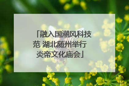 融入国潮风科技范 湖北随州举行炎帝文化庙会