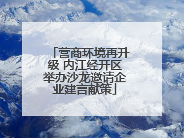 营商环境再升级 内江经开区举办沙龙邀请企业建言献策