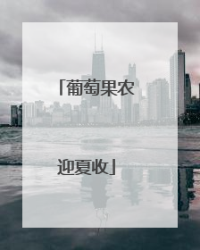葡萄果农迎夏收
