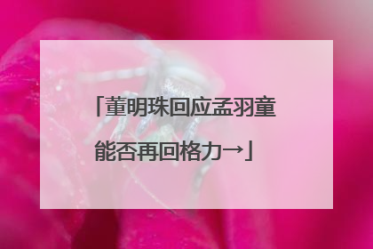 董明珠回应孟羽童能否再回格力→