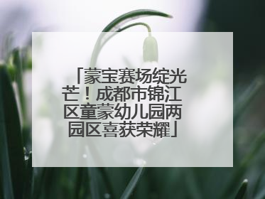 蒙宝赛场绽光芒！成都市锦江区童蒙幼儿园两园区喜获荣耀