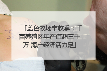 蓝色牧场丰收季：千亩养殖区年产值超三千万 海产经济活力足