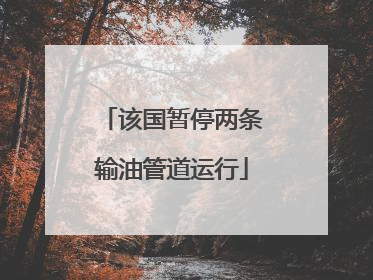 该国暂停两条输油管道运行