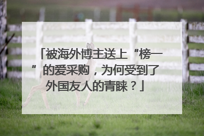 被海外博主送上“榜一”的爱采购，为何受到了外国友人的青睐？