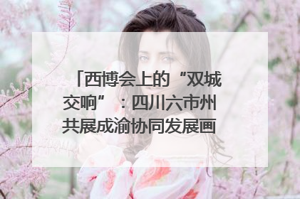西博会上的“双城交响”：四川六市州共展成渝协同发展画卷｜西博视界