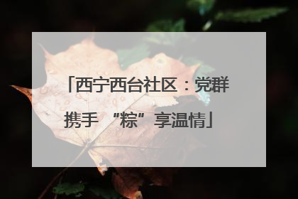 西宁西台社区：党群携手 “粽”享温情